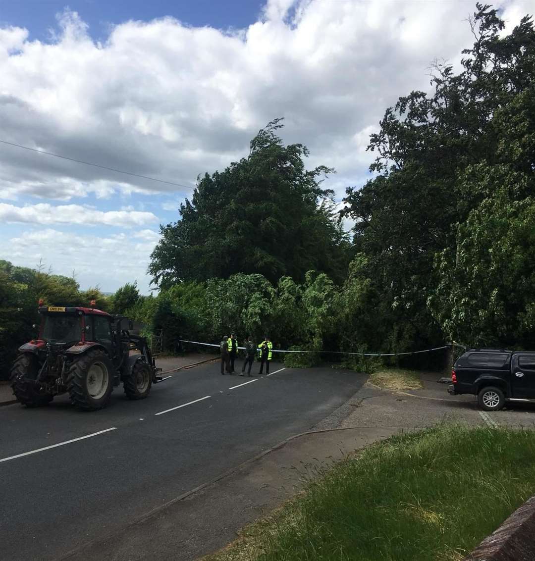 A huge tree is blocking Wrotham Road in both directions