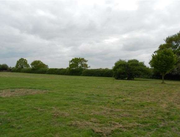 The proposed site is currently a grassy paddock