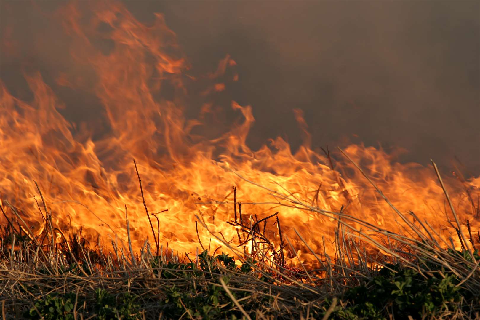 There were three outdoor fires in east Kent yesterday. File picture