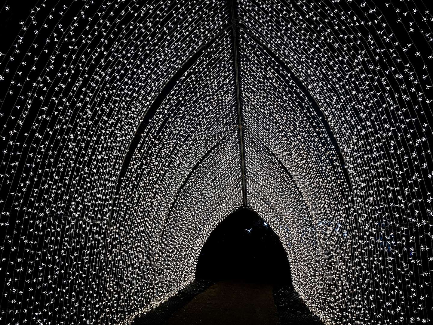 Lots of people were taking photos in the dazzling light tunnel