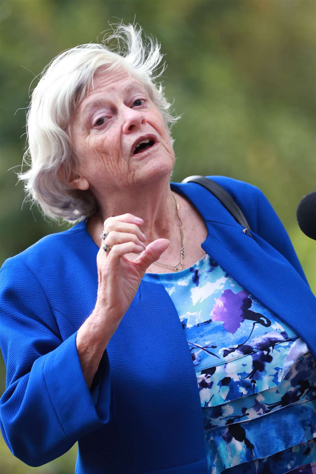Ann Widdecombe, former Conservative MP. Picture: John Westhrop