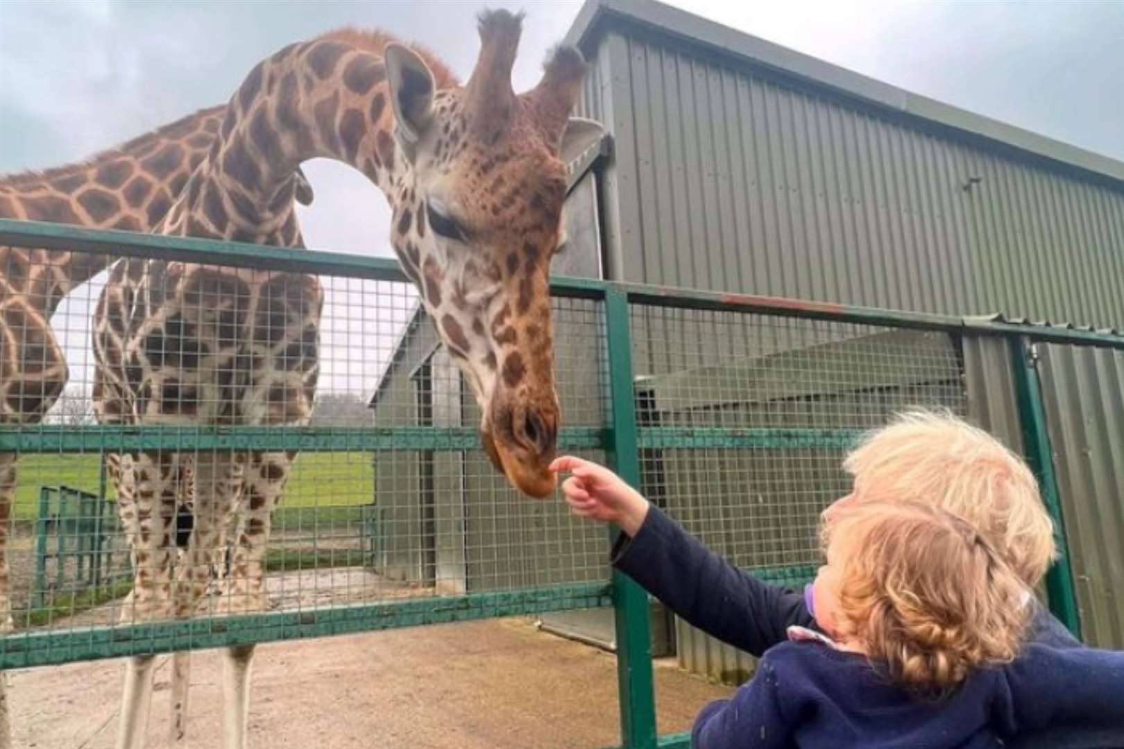 The former Prime Minister is pictured petting a giraffe with his youngest. Picture: Carrie Johnson on Instagram