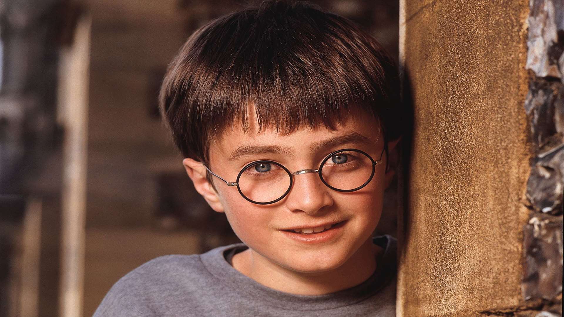 Daniel Radcliffe as a young Harry Potter Picture: Warner Brothers
