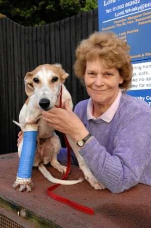 Margaret Todd and the lurcher puppy. Picture: Chris Davey
