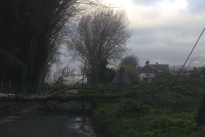A tree was blown across Bunters Hill Road, Cliffe. Picture: @fonkm on Twitter