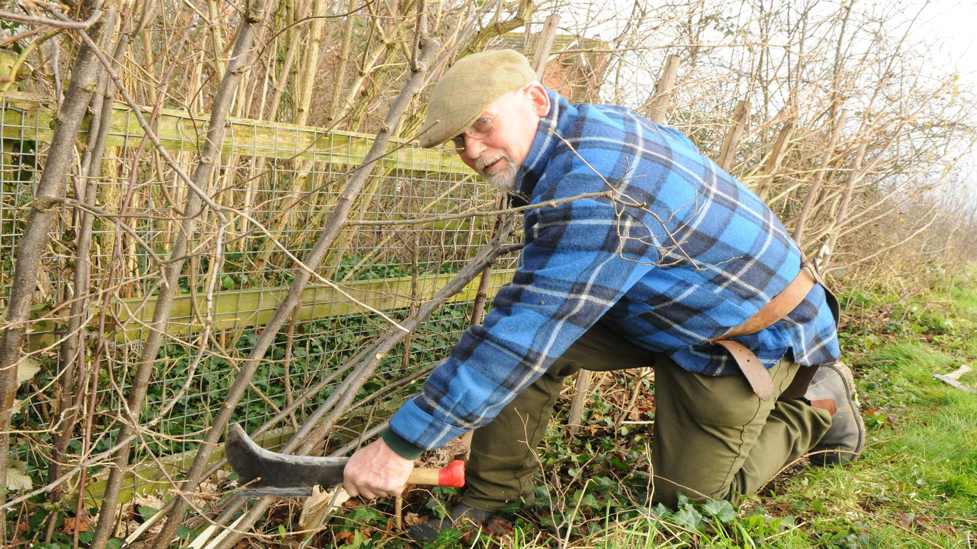 Alan Ashby leading a hedge-laying course at Milton Creek Country Park