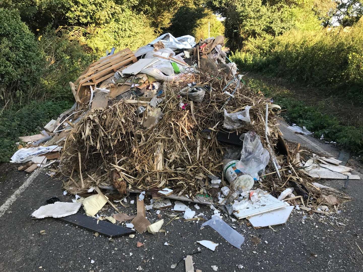 Fly-tipped waste in School Lane, Iwade (3782750)