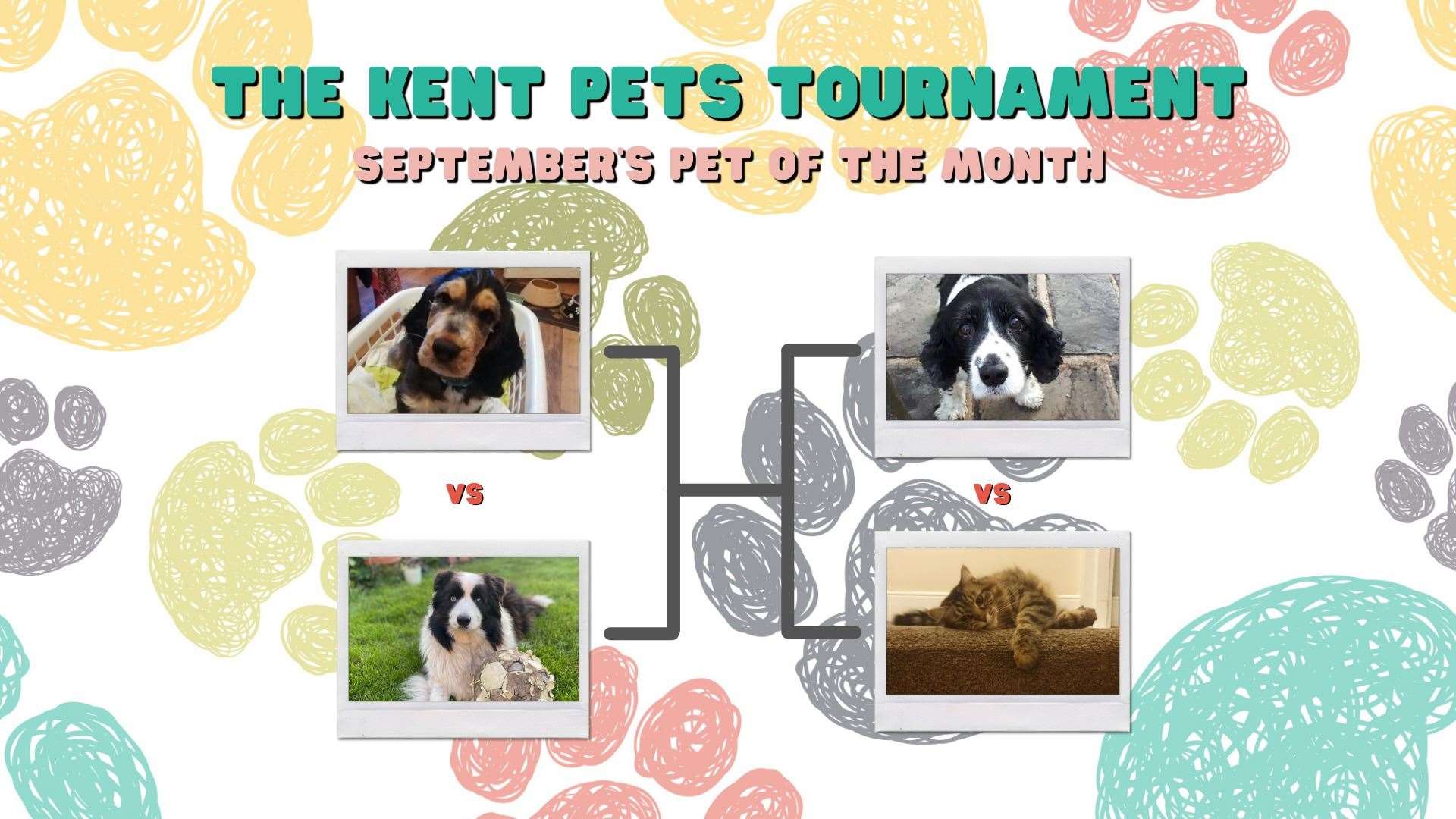 Vote for September's pet of the month