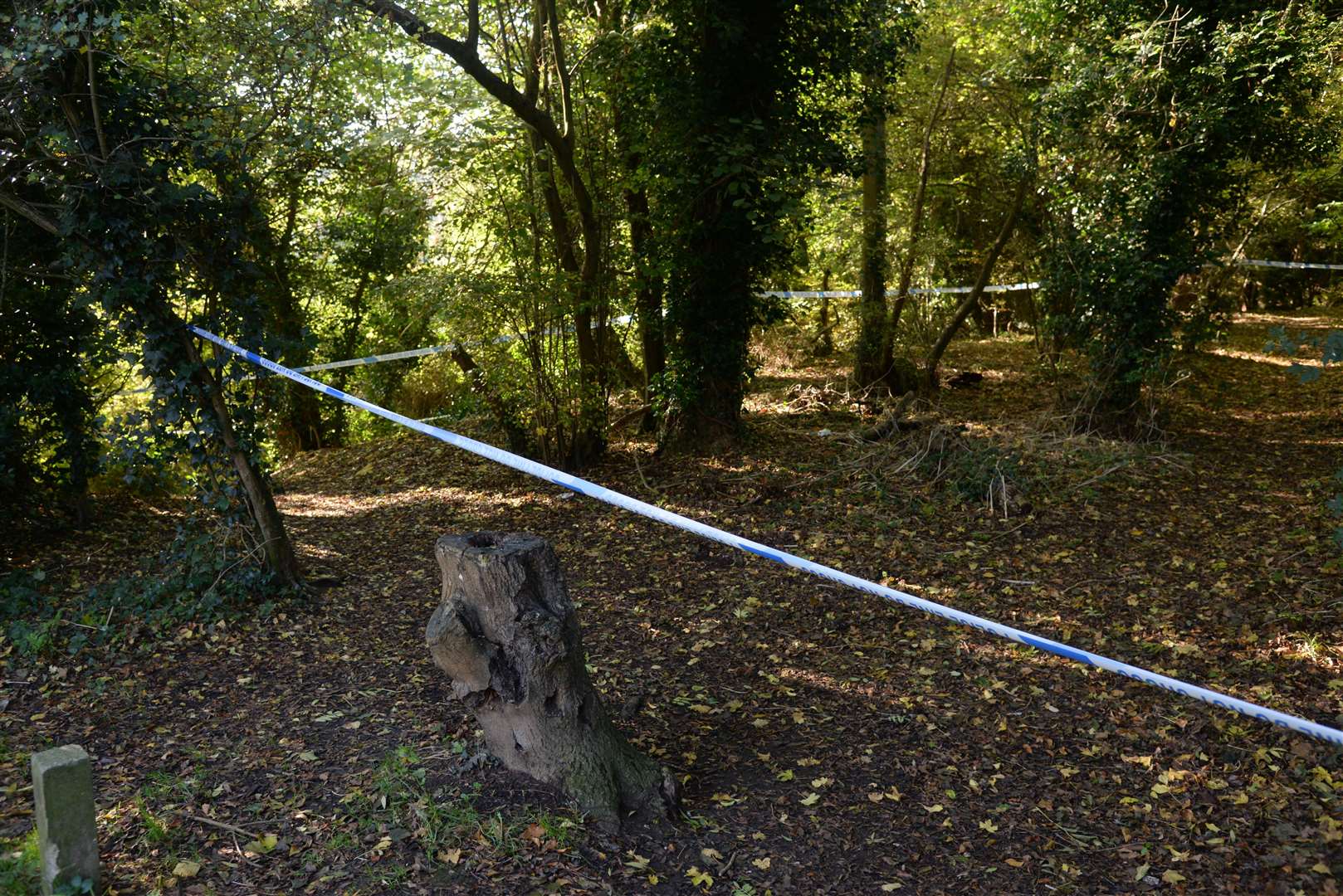 A cordoned off area of woodland behind Bazes Shaw, New Ash Green. Picture: Chris Davey