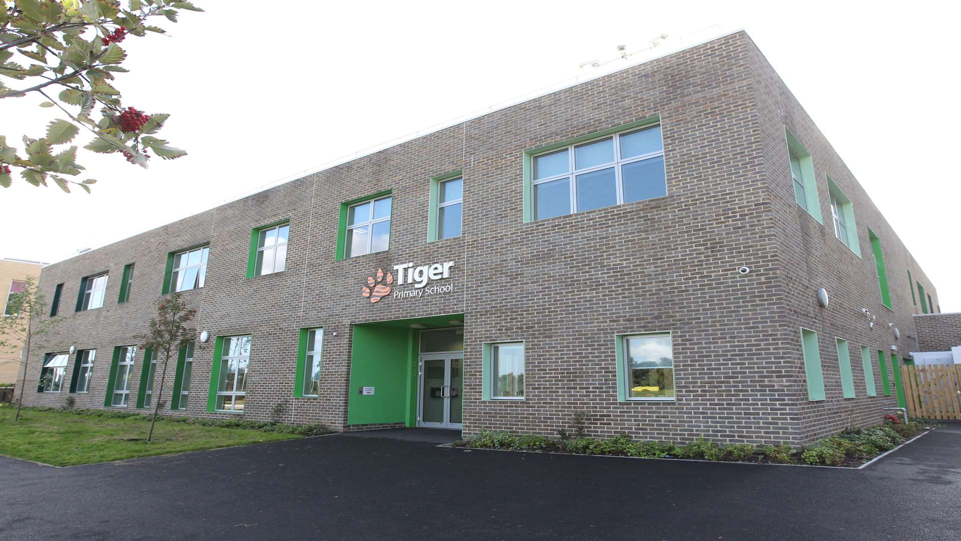 Tiger Primary School