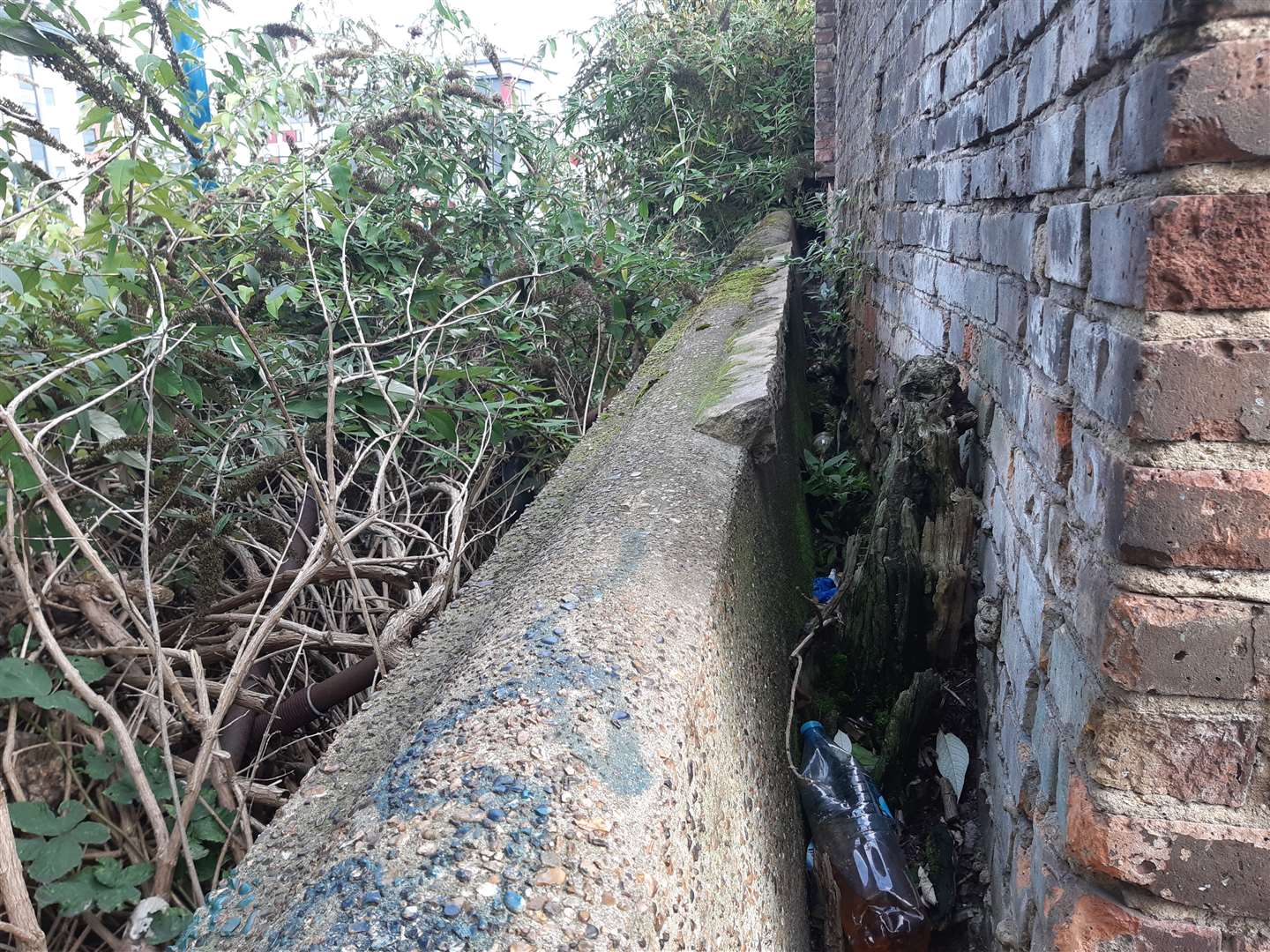 Behind the crumbing wall in Pier Road, Gillingham