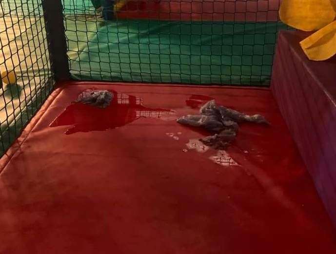 Parents were left unimpressed by the state of the Stour Centre's soft play centre over the weekend. Picture: Bethany Horne