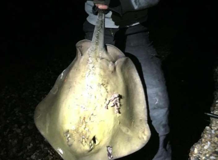 Jordan Matthews caught this stingray in Herne Bay