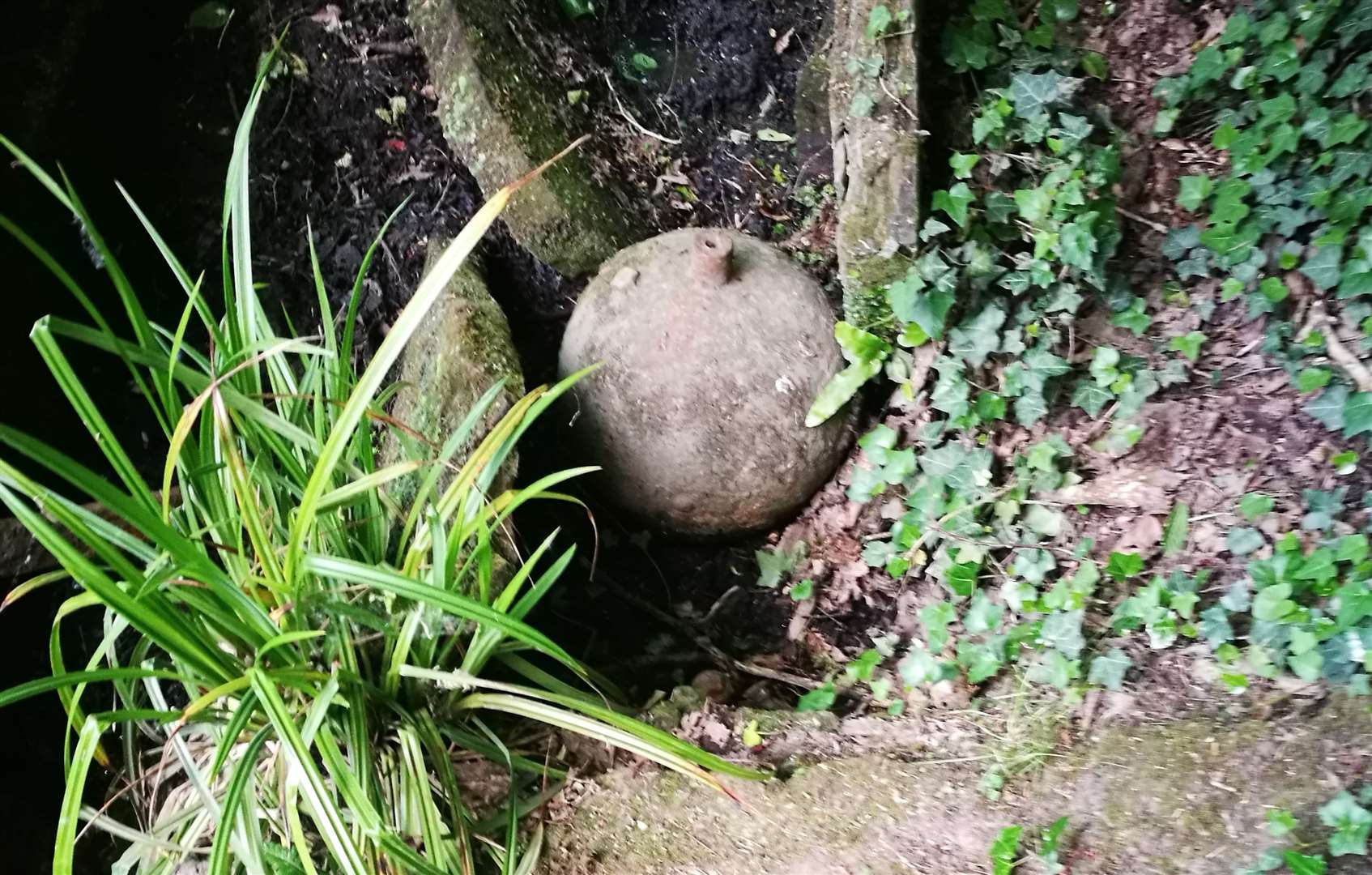 A suspected "wartime bomb" was found in woodland in Sandling. Picture: Martin Simpson