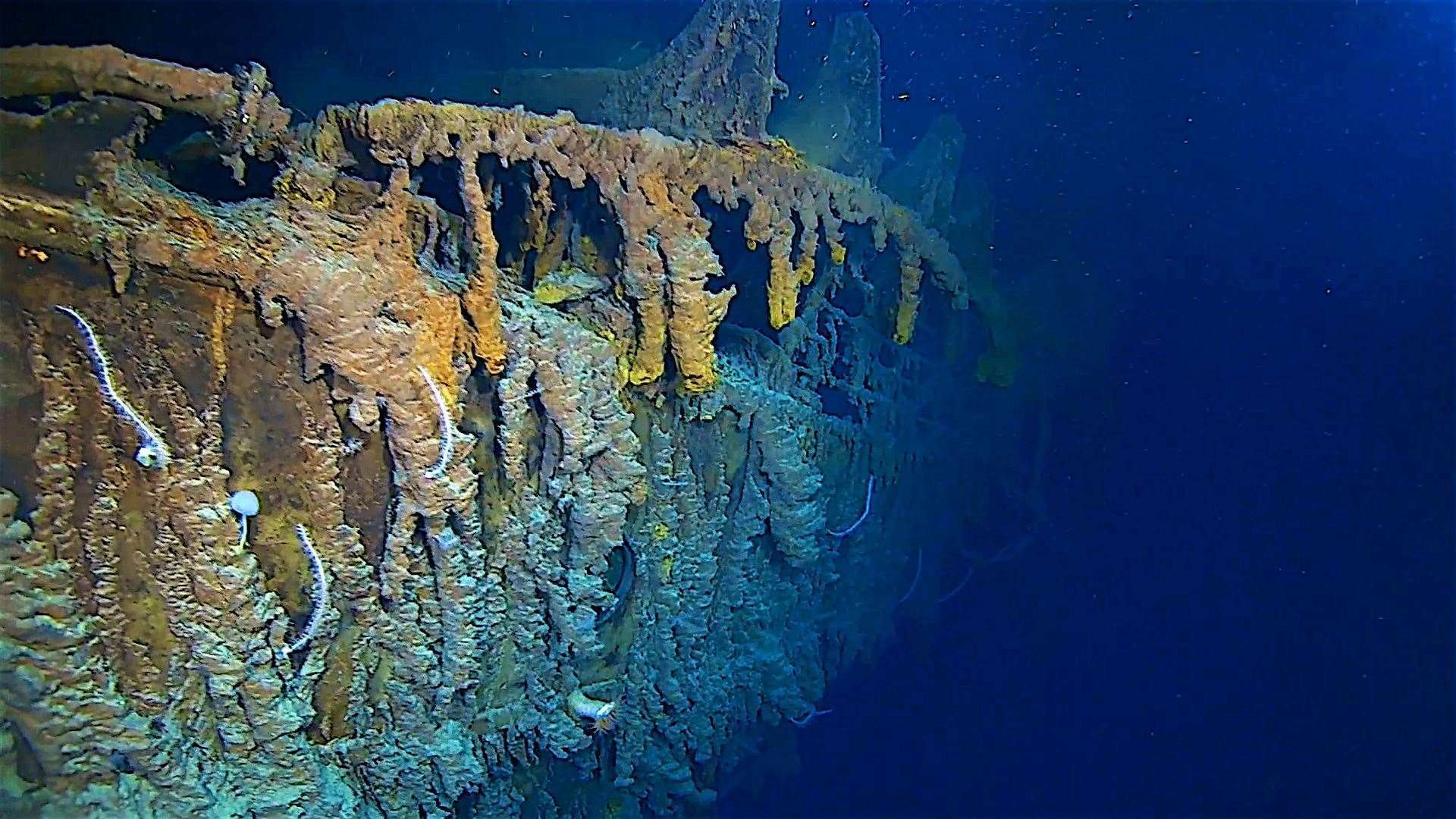 The side of the RMS Titanic in her resting place at the bottom of the North Atlantic Ocean (Atlantic Productions/PA)