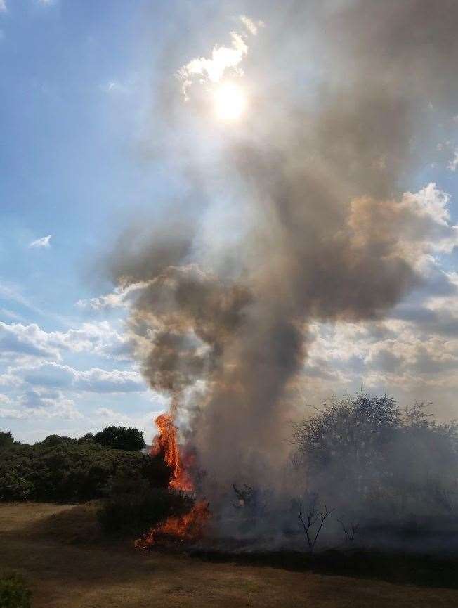 Firefighters tackled a huge blaze on Dartford Heath. Picture: Kent Police Dartford
