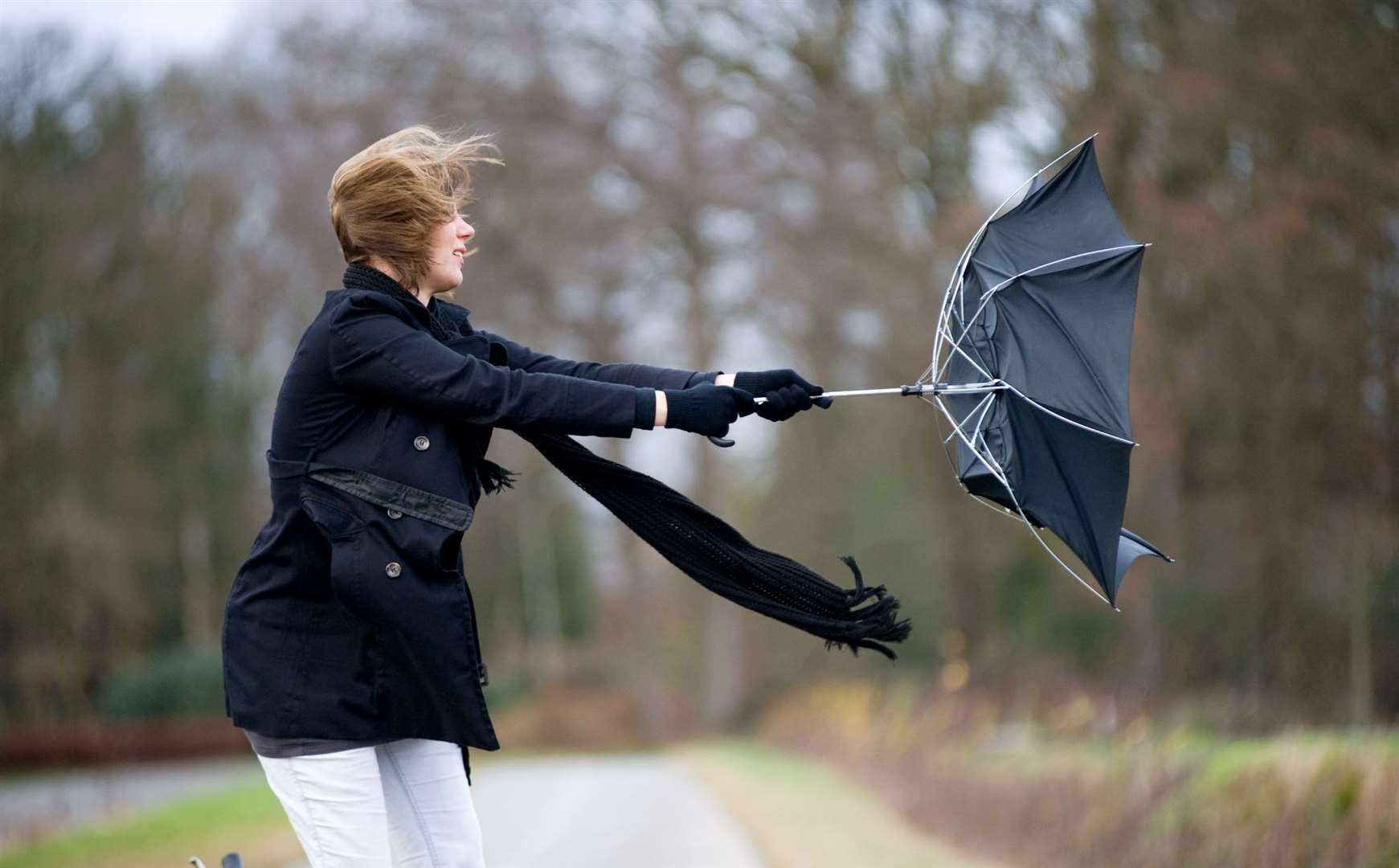 Strong winds are expected the day after Boxing Day. Picture: iStock
