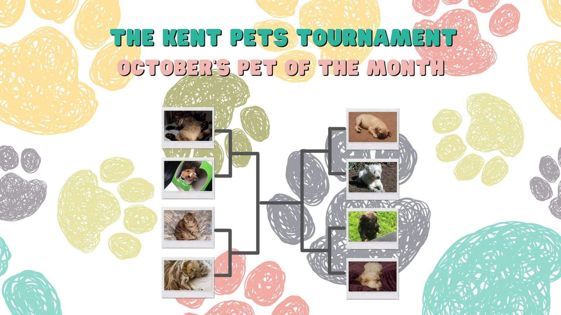Who do you think should go into the next round of Kent Pets Tournament?