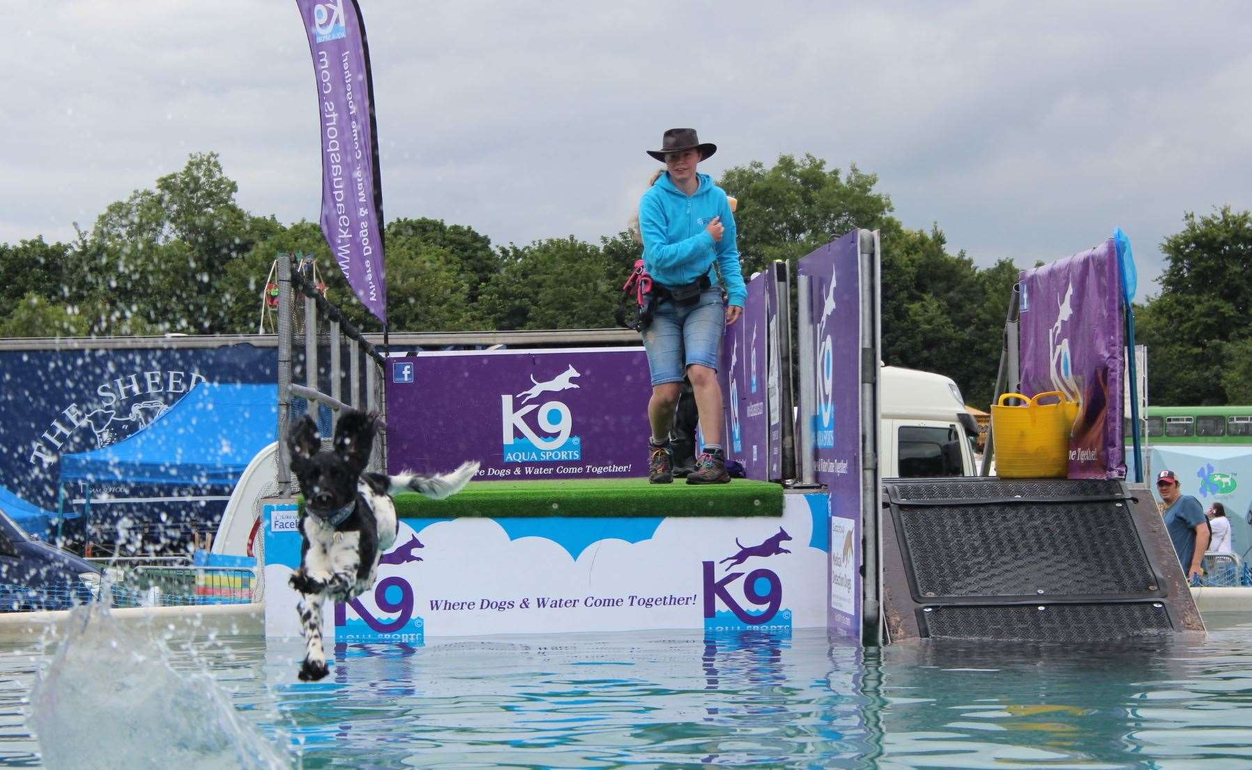 Diving dogs from K9 Aqua Sports at last year's Kent County Show near Maidstone