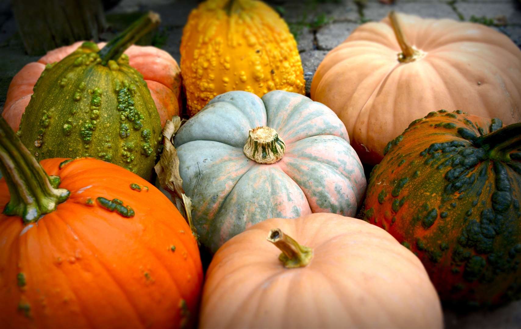 Around 15 million pumpkins are thrown away every Halloween