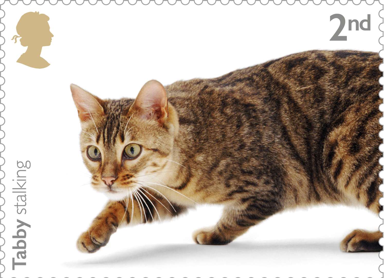A stalking Tabby cat. Picture: Royal Mail.