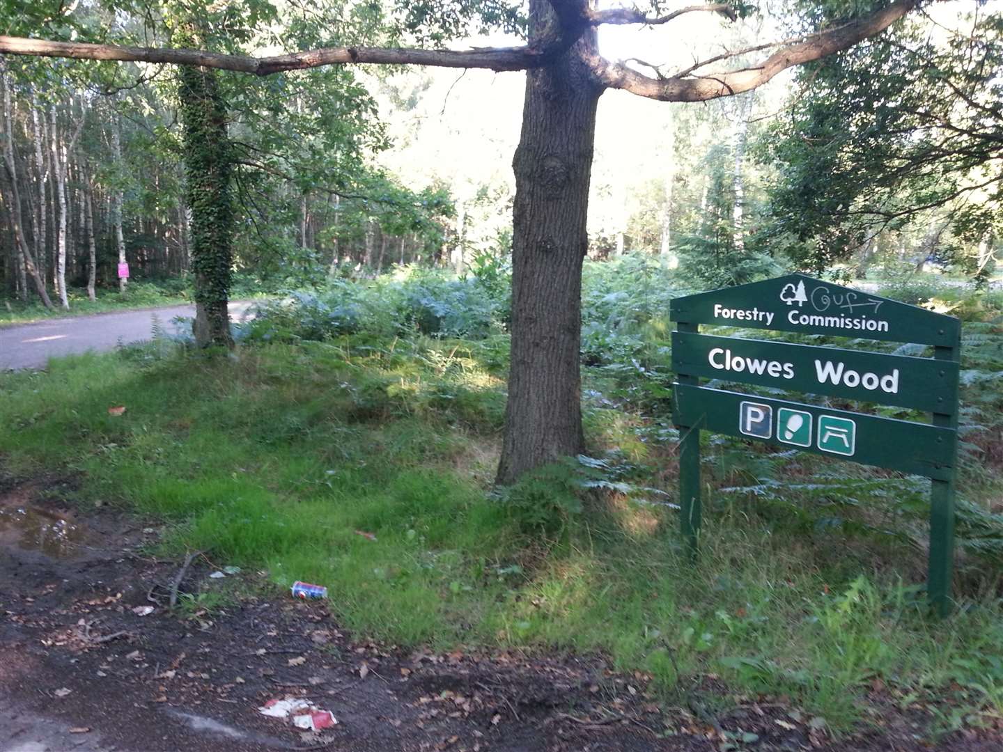 Clowes Wood
