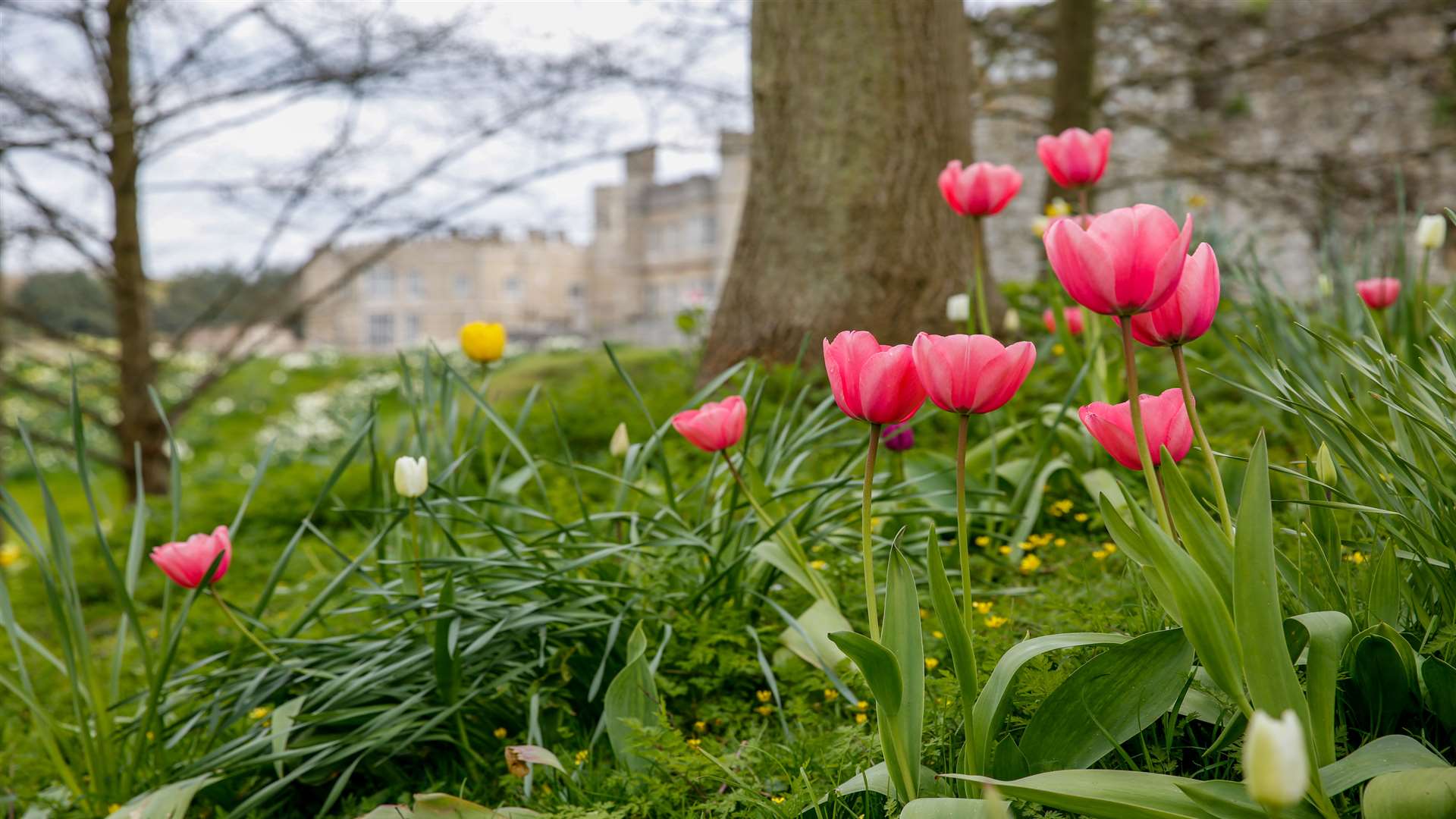 The gardens at Leeds Castle are open all year round