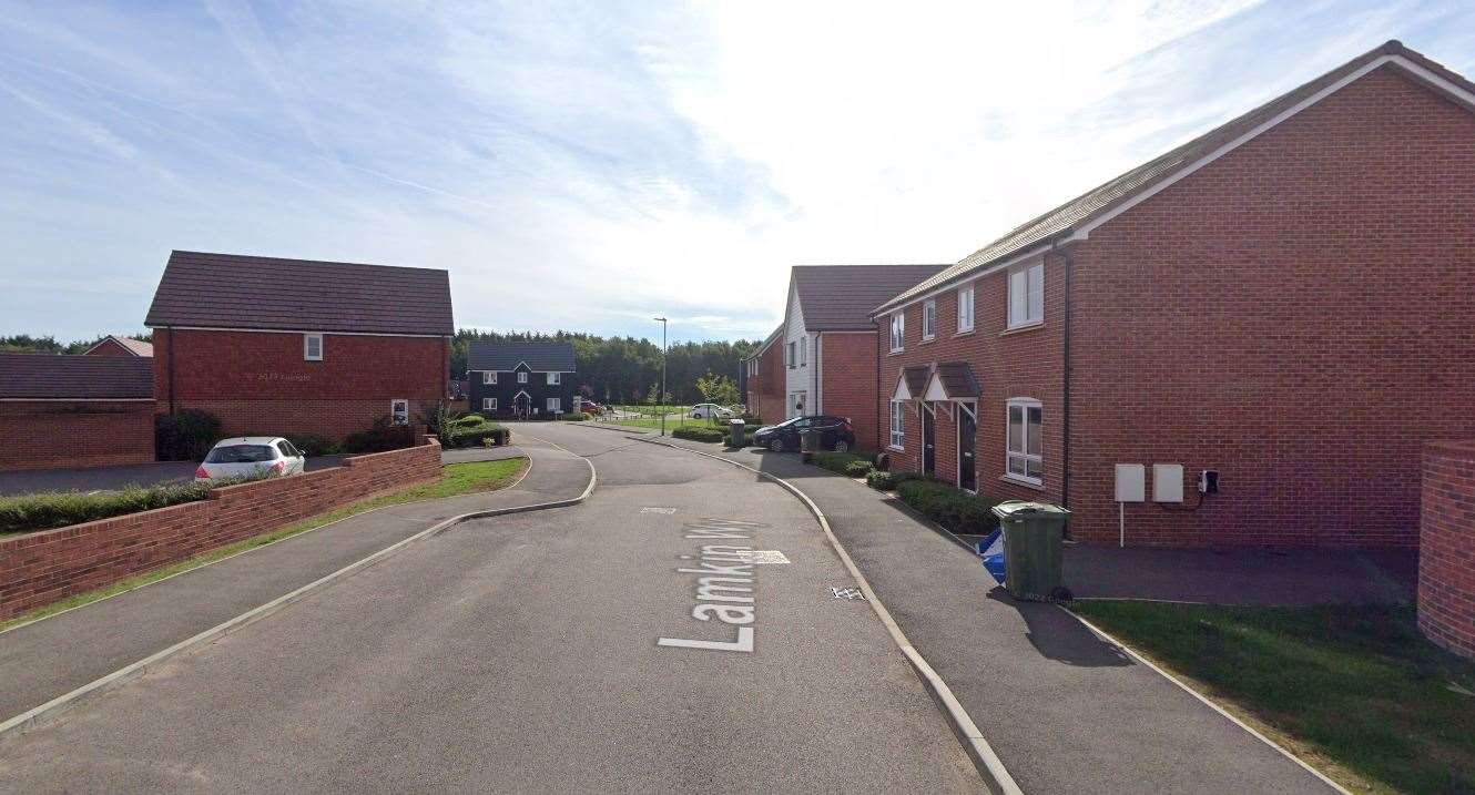 Residents of Lamkin Way (pictured) and Edmett Way in Langley Park found their cats suddenly vomiting and shaking. Picture: Google