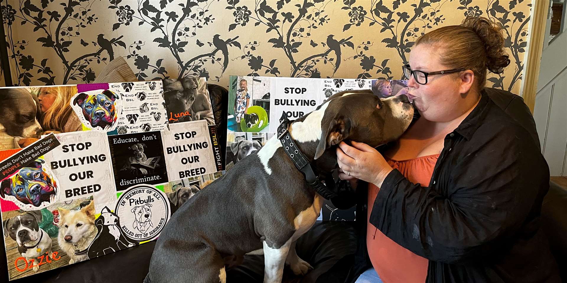 XL Bully owner defends breed and says banning them 'won't work