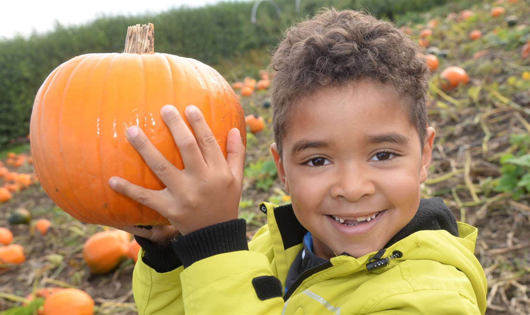 Noah Buari, six and his pumpkin at the Pick Your Own Pumpkin event at Chilton Manor Farm, Sittingbourne Picture: Chris Davey