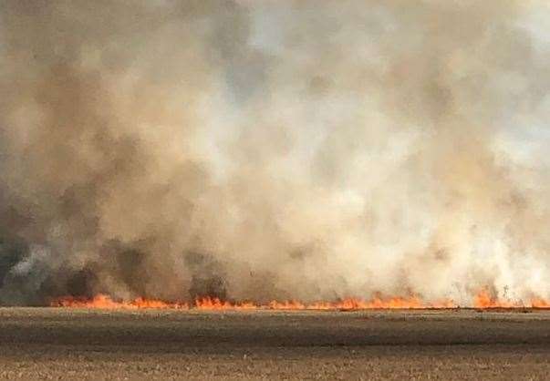 A fire has broken out in fields in Broomfield. Picture: Danielle Louise