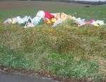 Flowers left at the scene of the accident