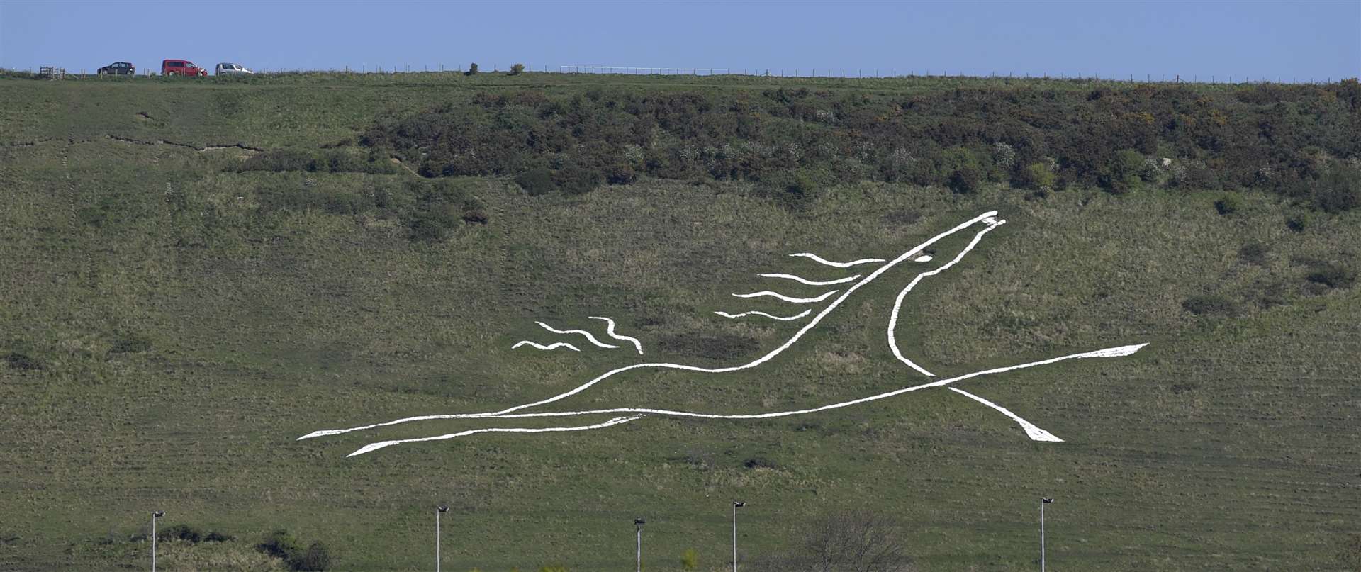 The white horse is even on the hills of Cheriton. Picture: Barry Goodwin