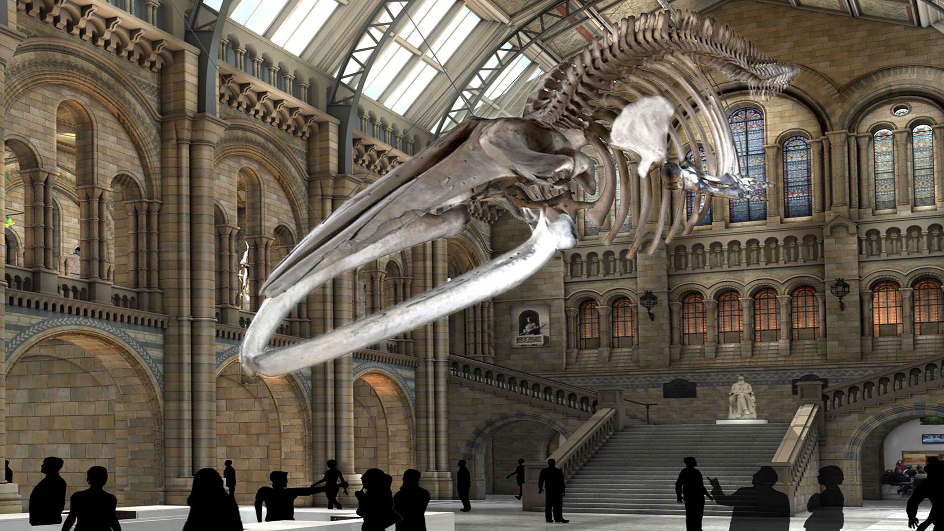 The whale will be unveiled in the main hall next summer