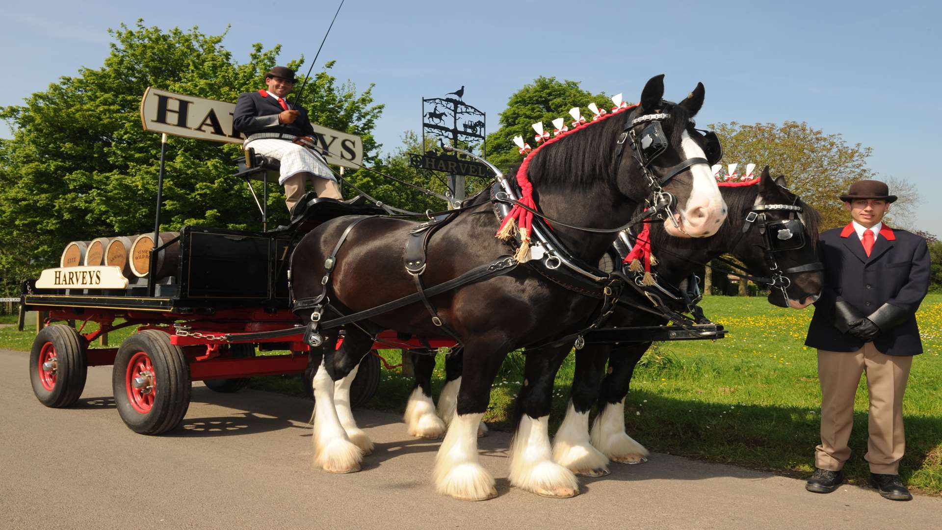 Rare shire horses are to pull Harvey's breweries dray. Stephen Smith (sitting) and Nathan Cuthbert with L-R: Jim and Guiness