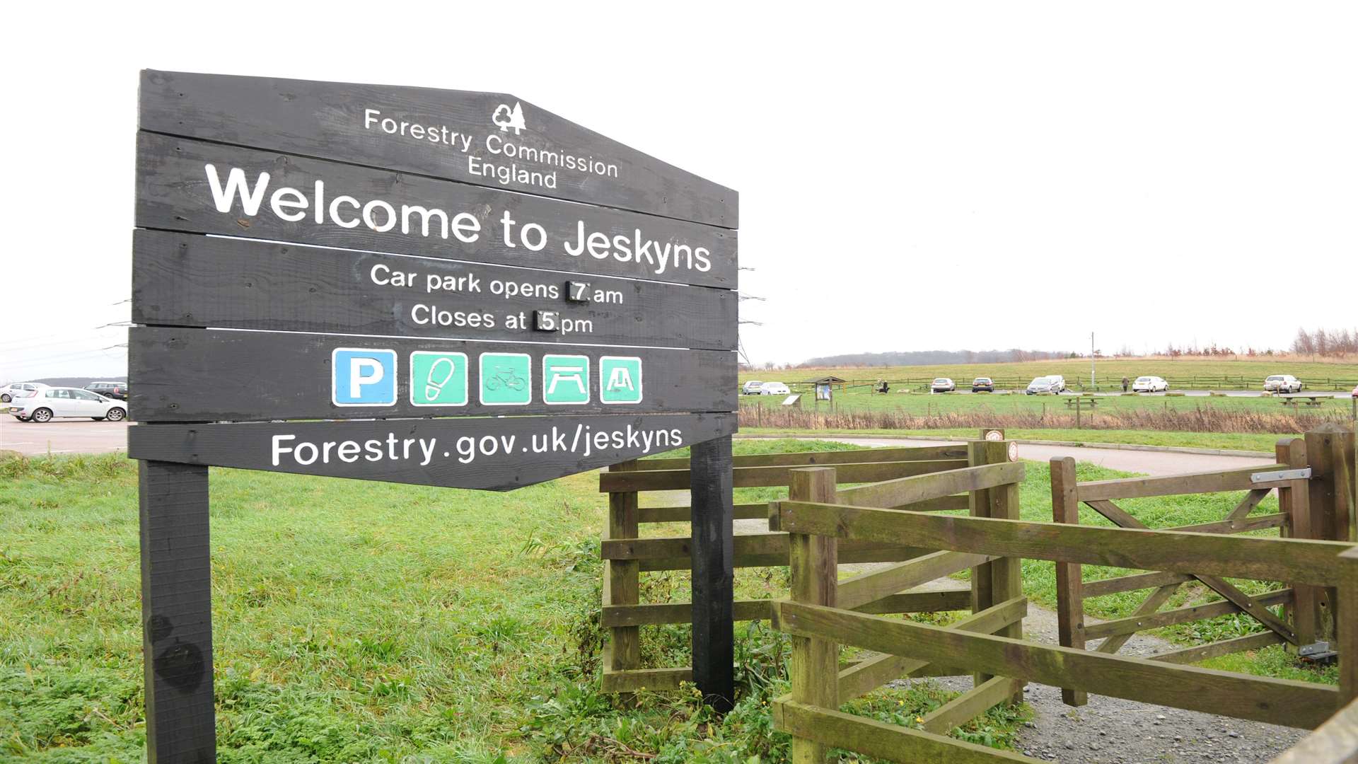 Jeskyns Community Woodland in Cobham