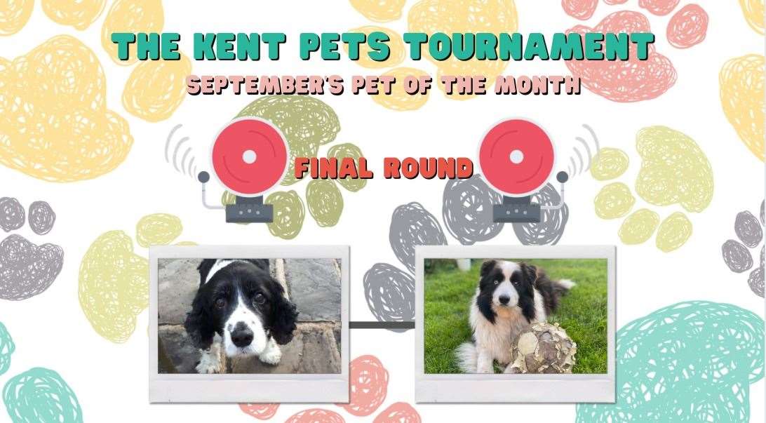 Who should win September's Kent Pets Tournament?