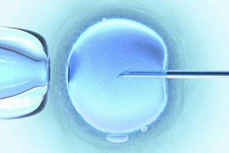 IVF treatment stock picture