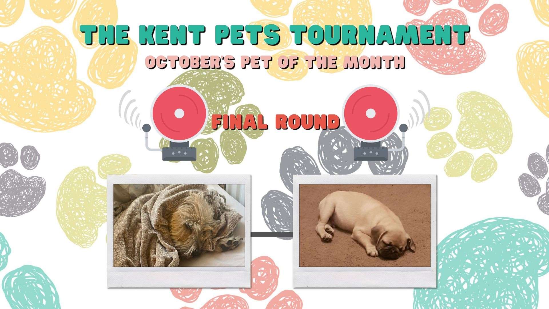 Who should win October's Kent Pets Tournament?