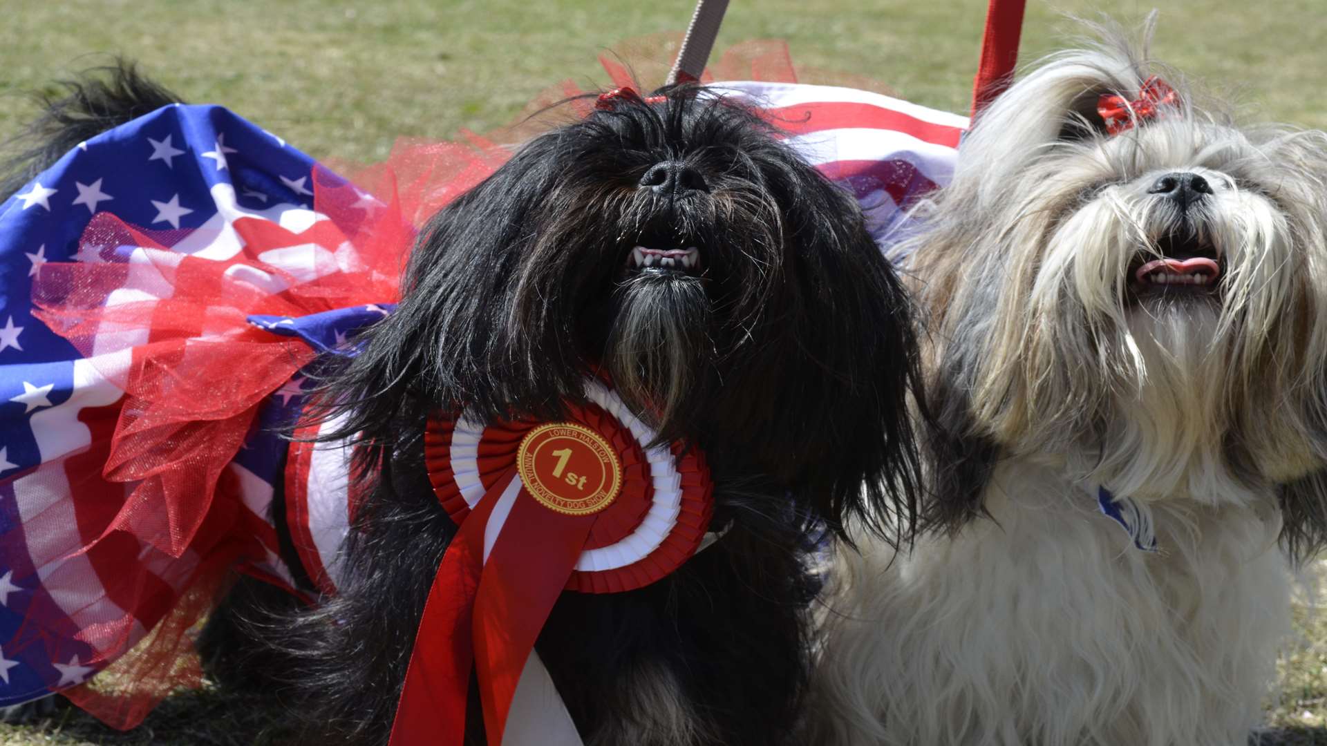 The two winners of the fancy dress categories show off their American Independence Day- themed outfits