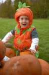 Alexander Bentall, 16 months, from Collier Street, at a Halloween-themed fancy dress event at Yalding Organic Centre.