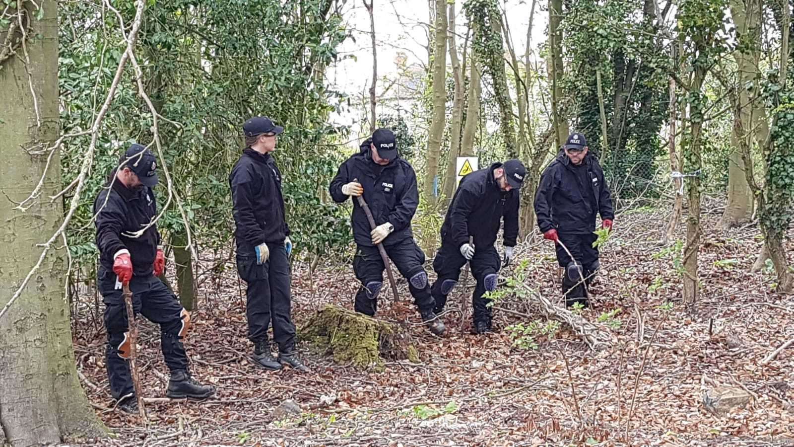 Police officers searching woodland