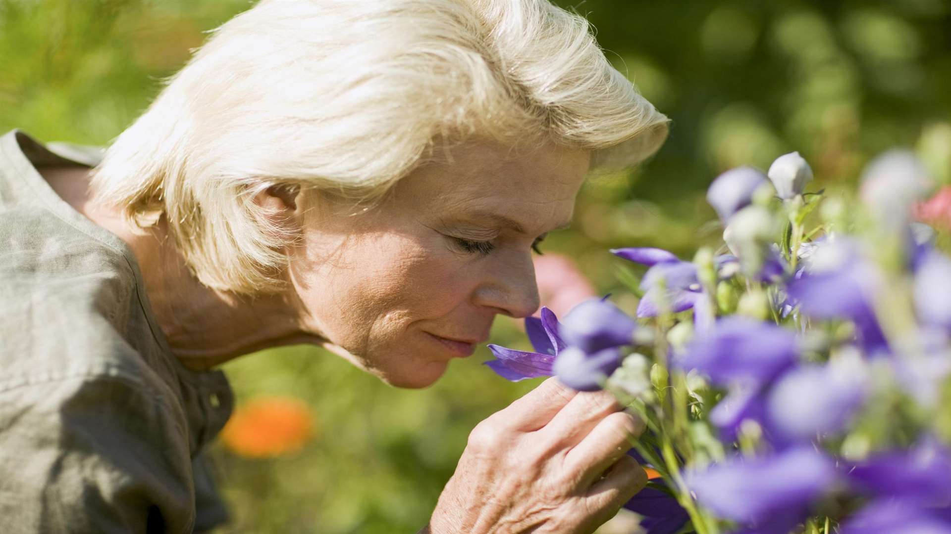 Smell the flowers in gardens across Kent