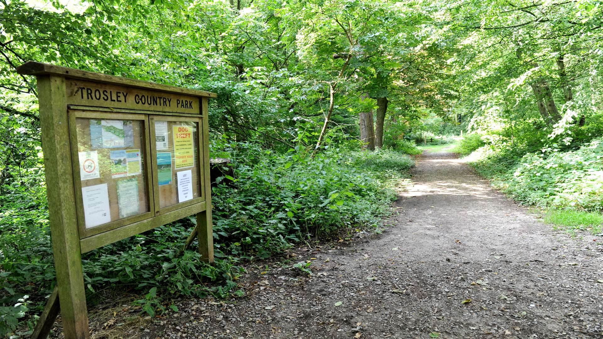 Take time to explore the winding paths at Trosley Country Park
