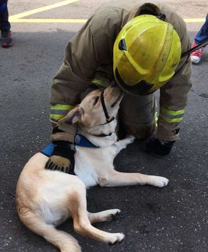Guide dog meeting the fire crew. Picture: Justine Price