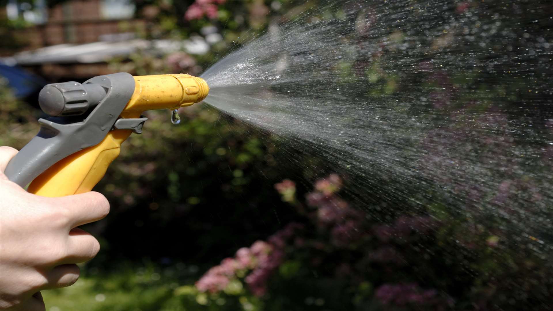 Could we be getting a hosepipe ban?