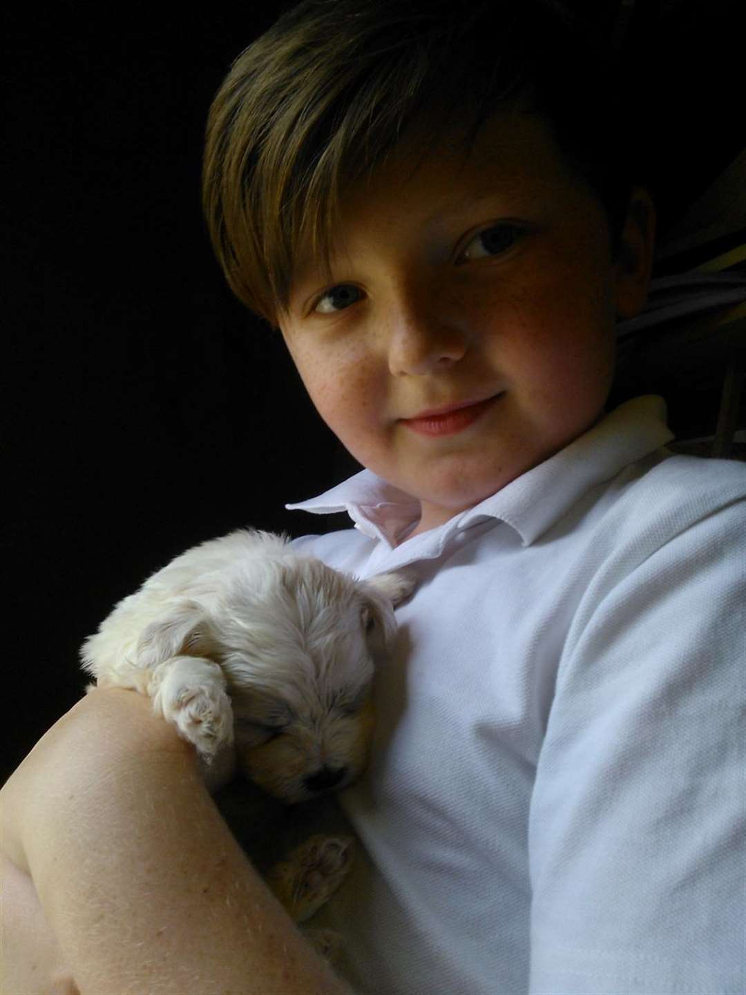 A diabetic boy has named his new puppy Willow after the Darent Valley ward that saved his life.