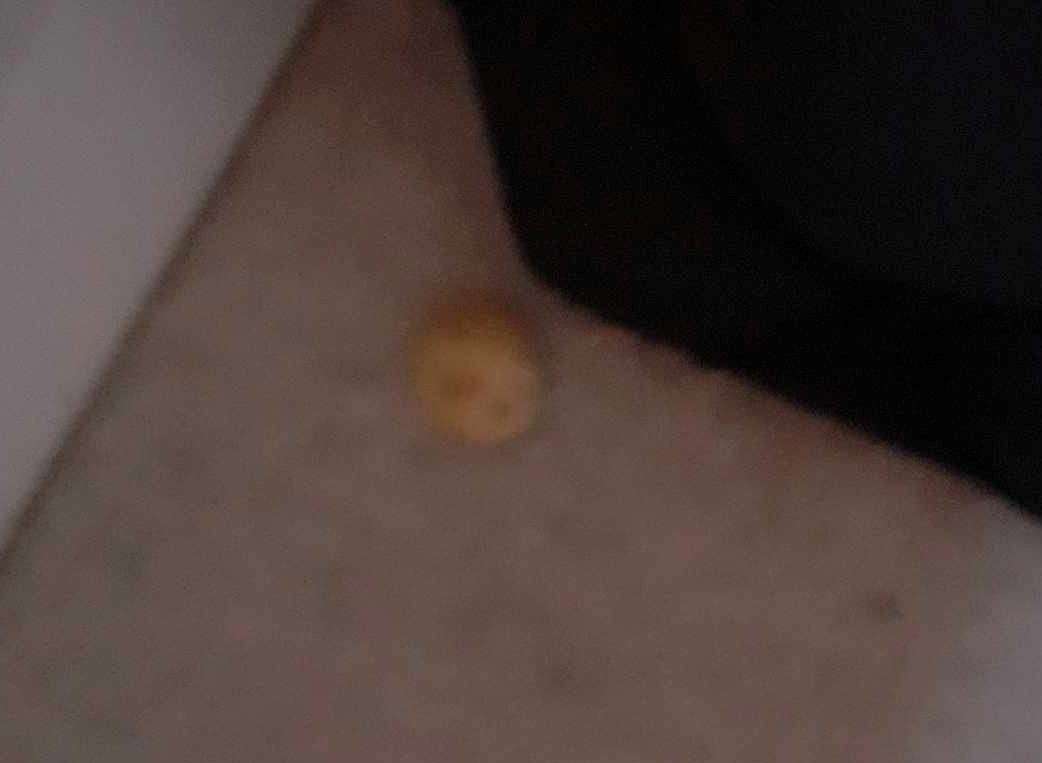 Police were called after a potato landed in the woman’s home