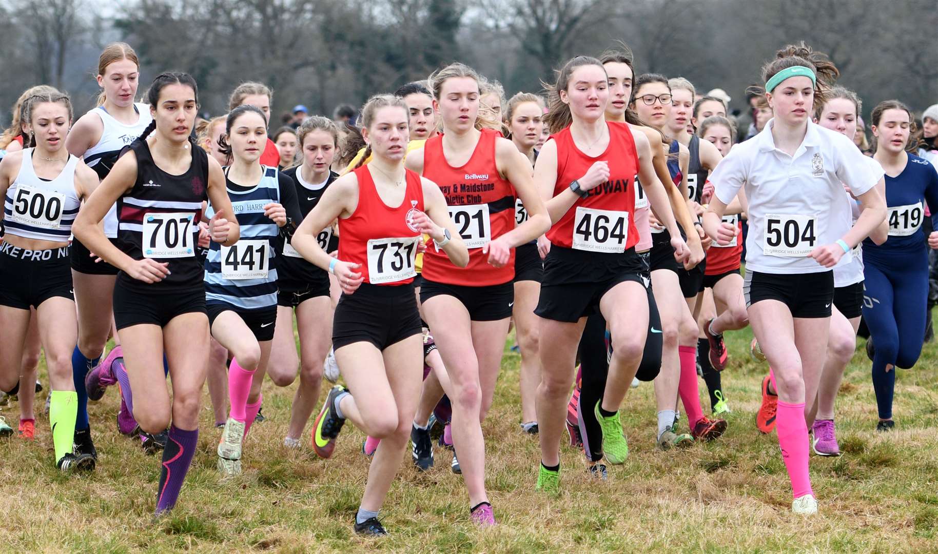 The intermediate and senior girls get their races under way at the Kent Schools Cross-Country Championships. Picture: Barry Goodwin (54437960)