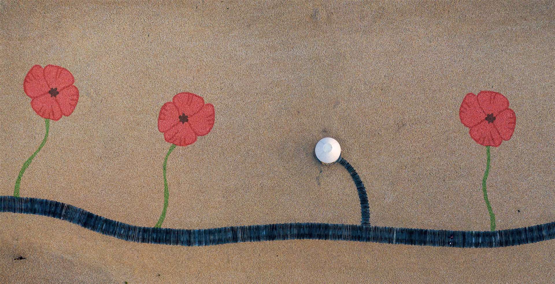 The poppies will be part of the 'Lasting Memories' art project